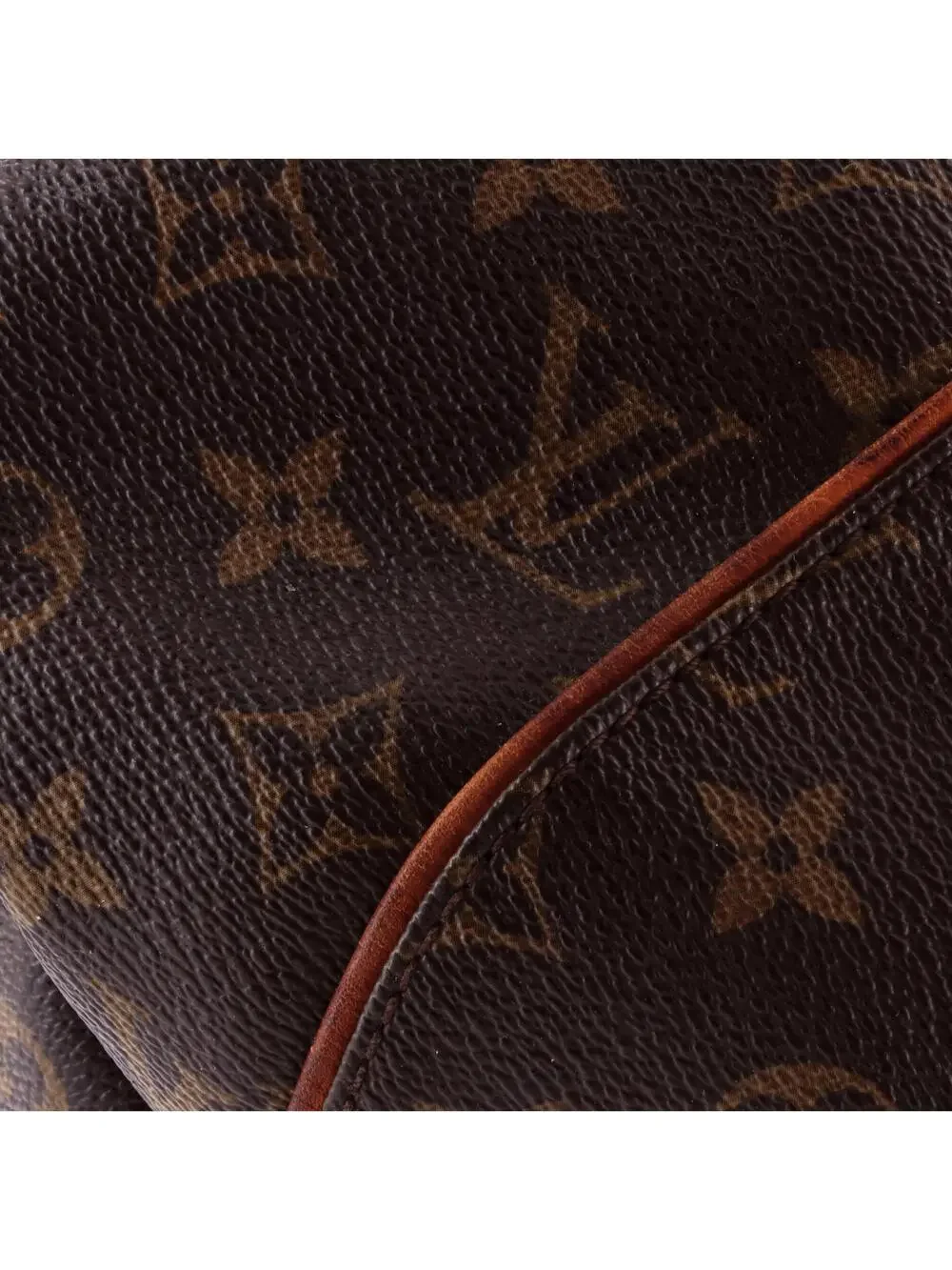 Louis Vuitton Galliera Handbag Canvas #298563L12B